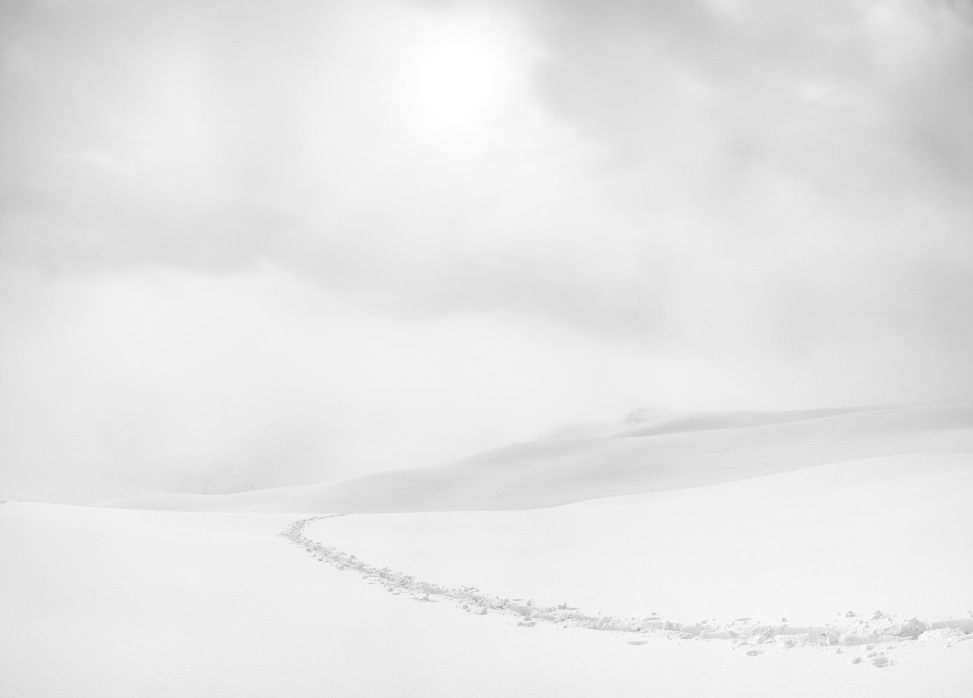 A single line of footprints crossing a snowfield under a pale sky